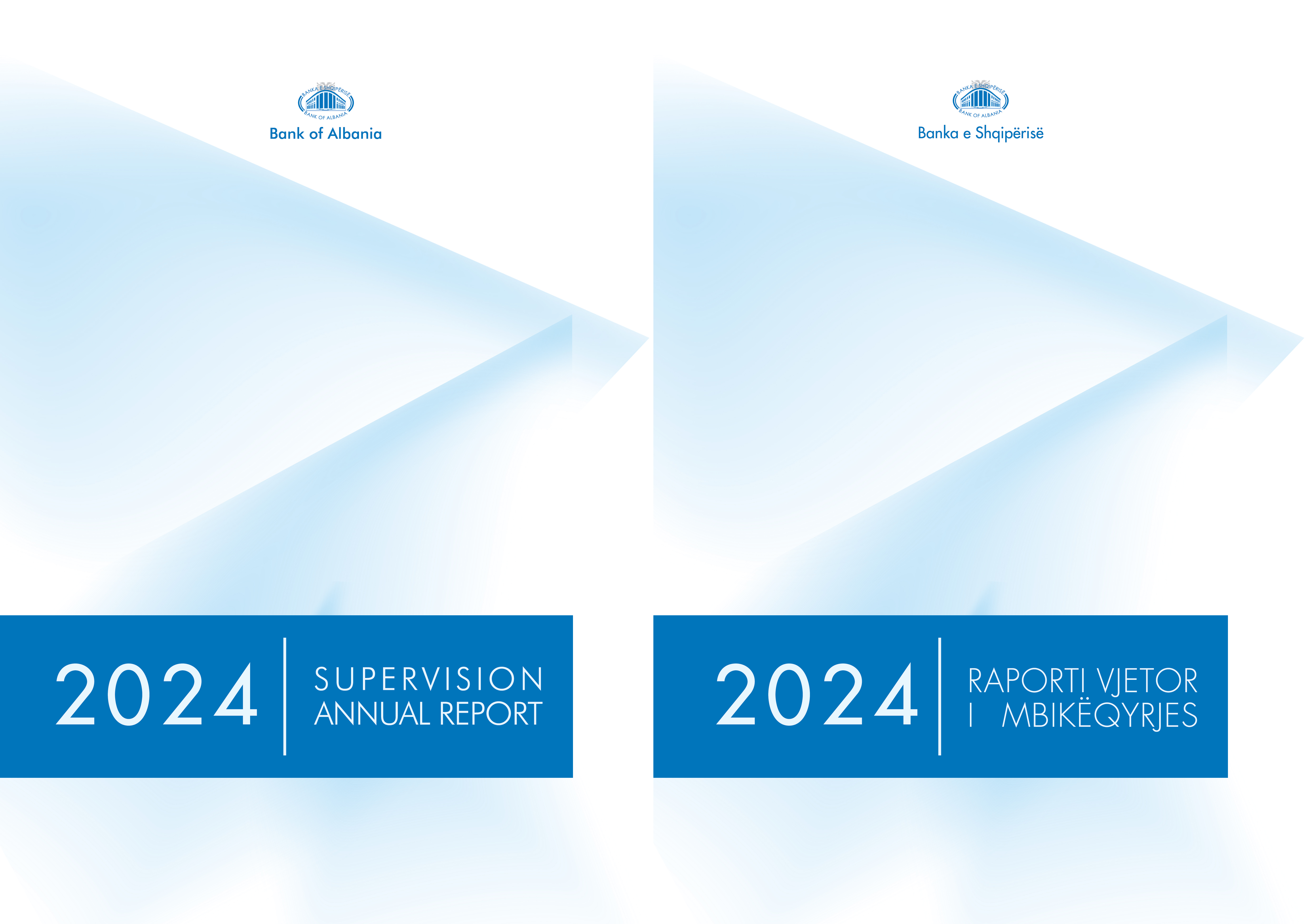 Annual Supervision Report