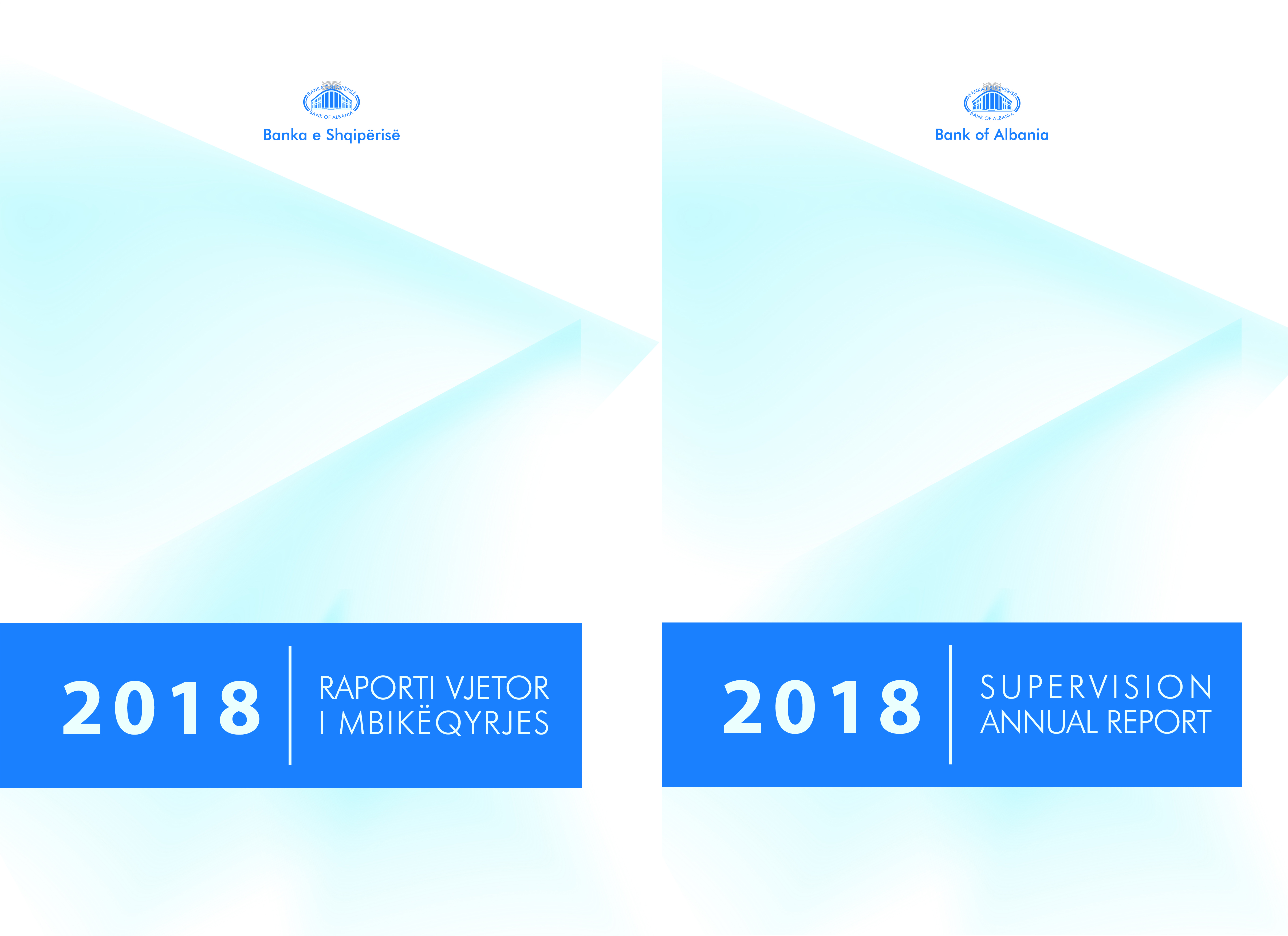 Annual Supervision Report 2018