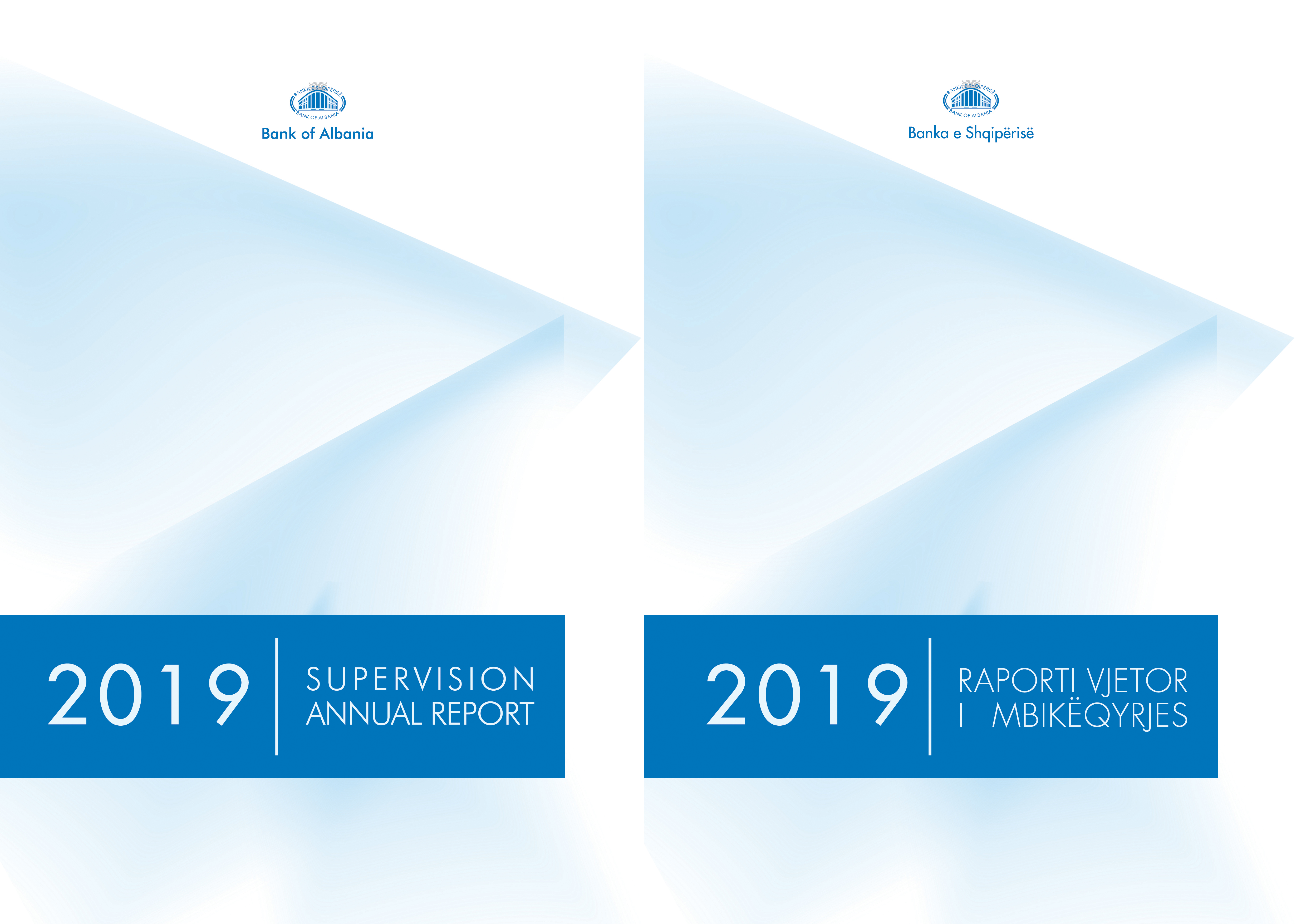 Annual Supervision Report 2019
