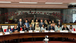 Bilateral Screening Meeting, EU - Albania, Chapter 17: Economic and Monetary Policy