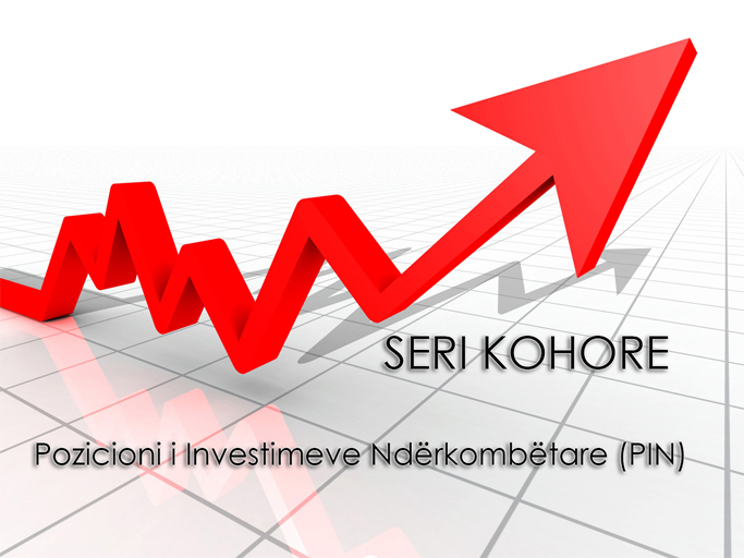 Pozicioni i Investimeve Ndërkombëtare (PIN)