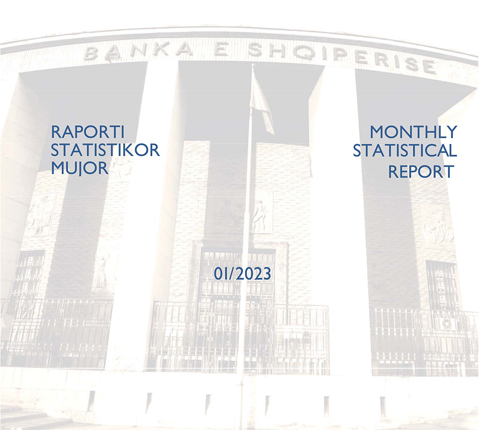 Raporti Statistikor - janar 2023