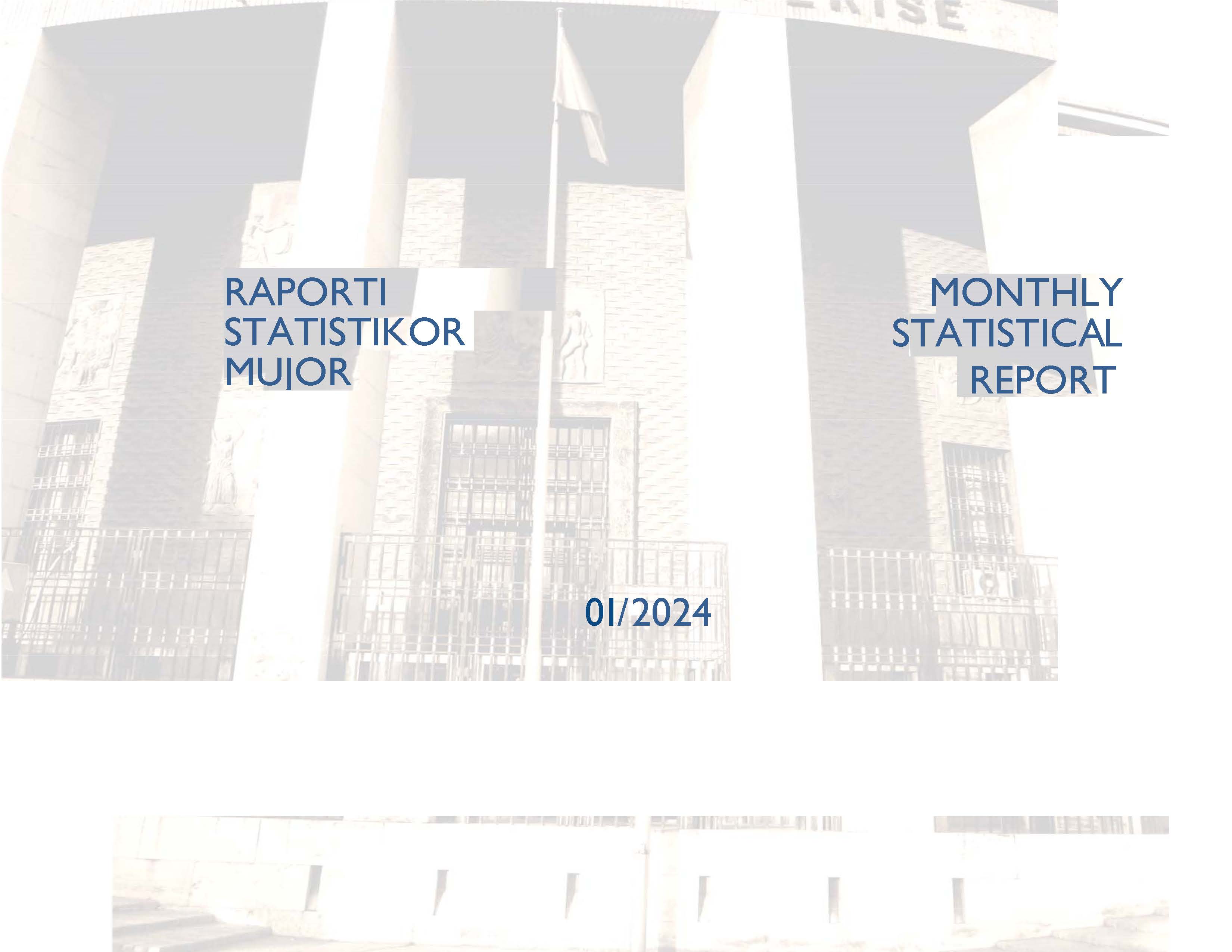 Statistical Report - January 2024