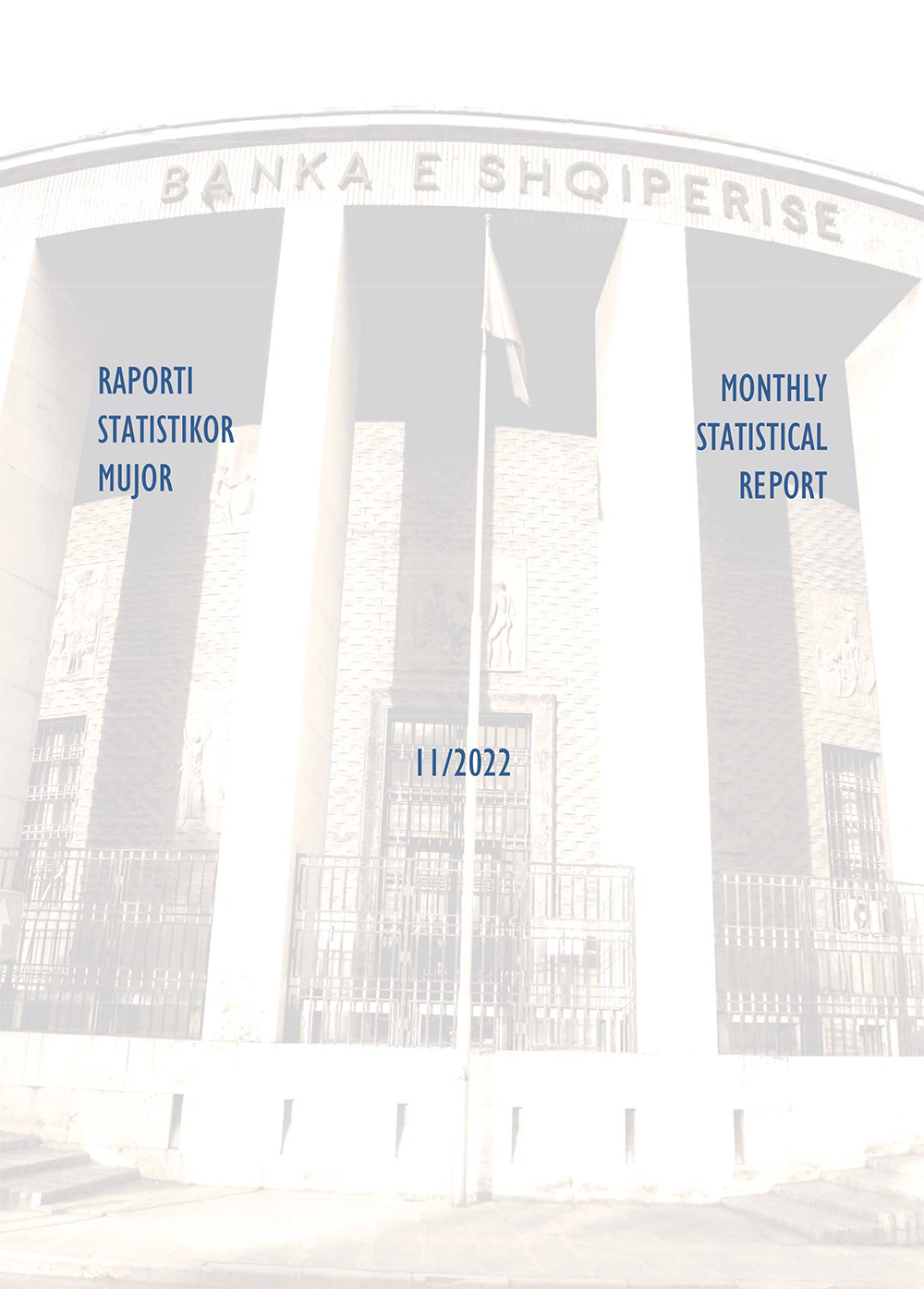 Raporti Statistikor - nëntor 2022