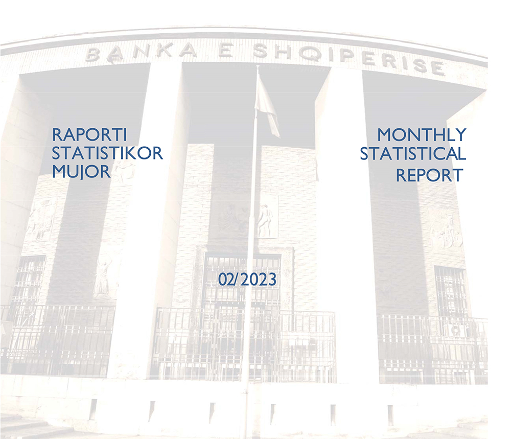 Raporti Statistikor - shkurt 2023